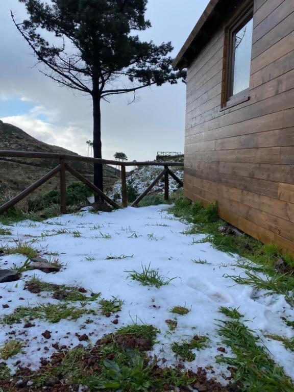 Hotel Mountain Eco Shelter 2 Funchal  Exterior foto